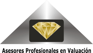 Asesores Profesionales en Valuación